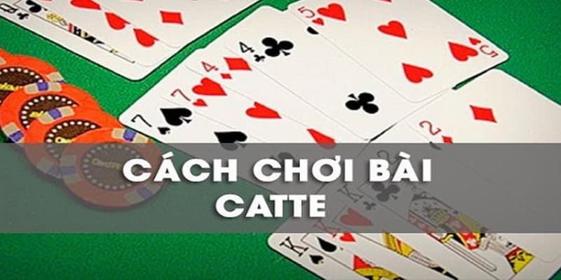 Hướng dẫn cách chơi bài Catte trên Loto188 một cách đơn giản và dễ hiểu nhất