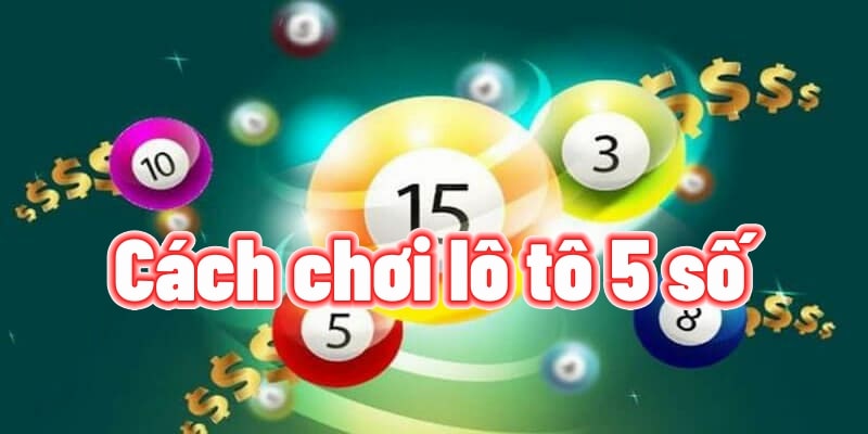 Tìm hiểu cách chơi lô tô 5 số miền Bắc 